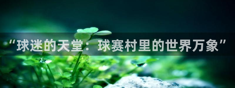 “球迷的天堂：球赛村里的世界万象”