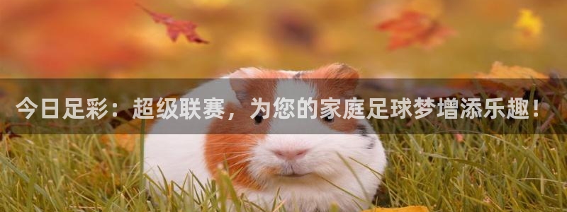 今日足彩：超级联赛，为您的家庭足球梦增添乐趣！