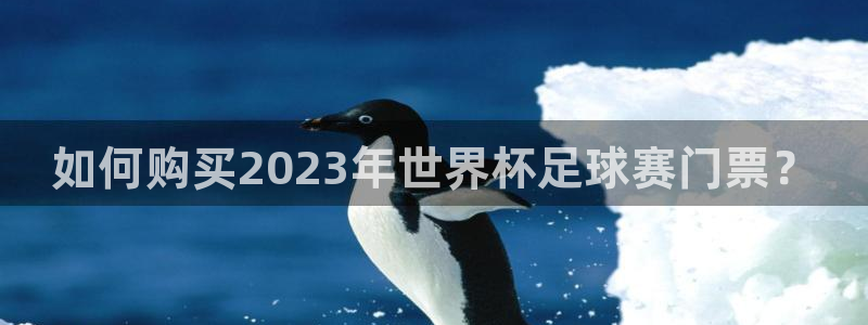 如何购买2023年世界杯足球赛门票？