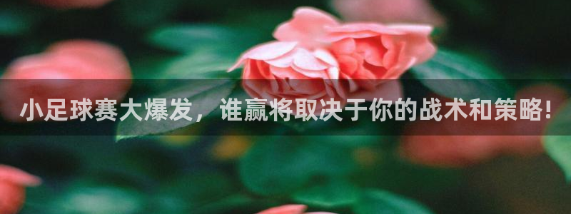 小足球赛大爆发，谁赢将取决于你的战术和策略!