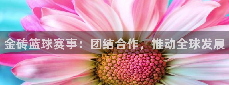 金砖篮球赛事：团结合作，推动全球发展