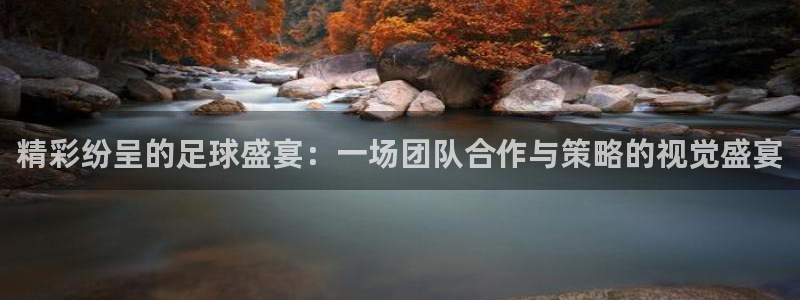 风速体育app官方网站下载手机版：精彩纷呈的足球盛宴：一场团