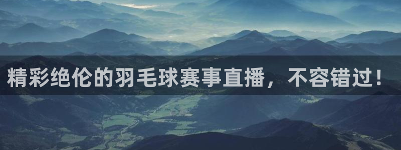 风速体育app官方网站下载手机版：精彩绝伦的羽毛球赛事直播，