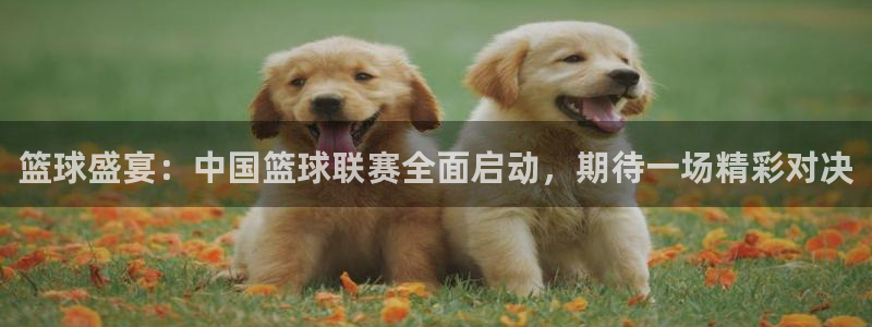 风速体育app官方下载安装苹果：篮球盛宴：中国篮球联赛全面启