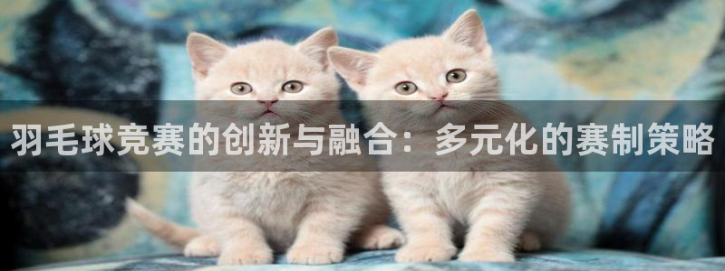 风速体育英超：羽毛球竞赛的创新与融合：多元化的赛制策略