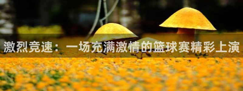 风速体育app怎么样好用吗：激烈竞速：一场充满激情的篮球赛精