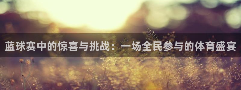 风速体育app下载链接安装：蓝球赛中的惊喜与挑战：一场全民参