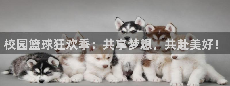 风速体育标志：校园篮球狂欢季：共享梦想，共赴美好！