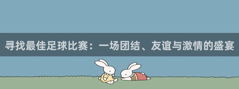 风速体育正品老店是正品吗多少钱：寻找最佳足球比赛：一场团结、