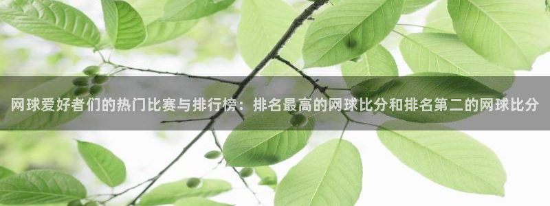 风速体育下载网址：网球爱好者们的热门比赛与排行榜：排名最高的