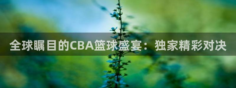 风速体育app怎么样：全球瞩目的CBA篮球盛宴：独家精彩对决
